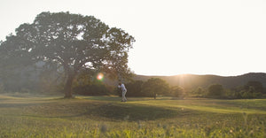 Giocare a golf: 10 cose indispensabili per una giornata in campo
